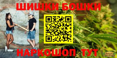 гашик Лесосибирск