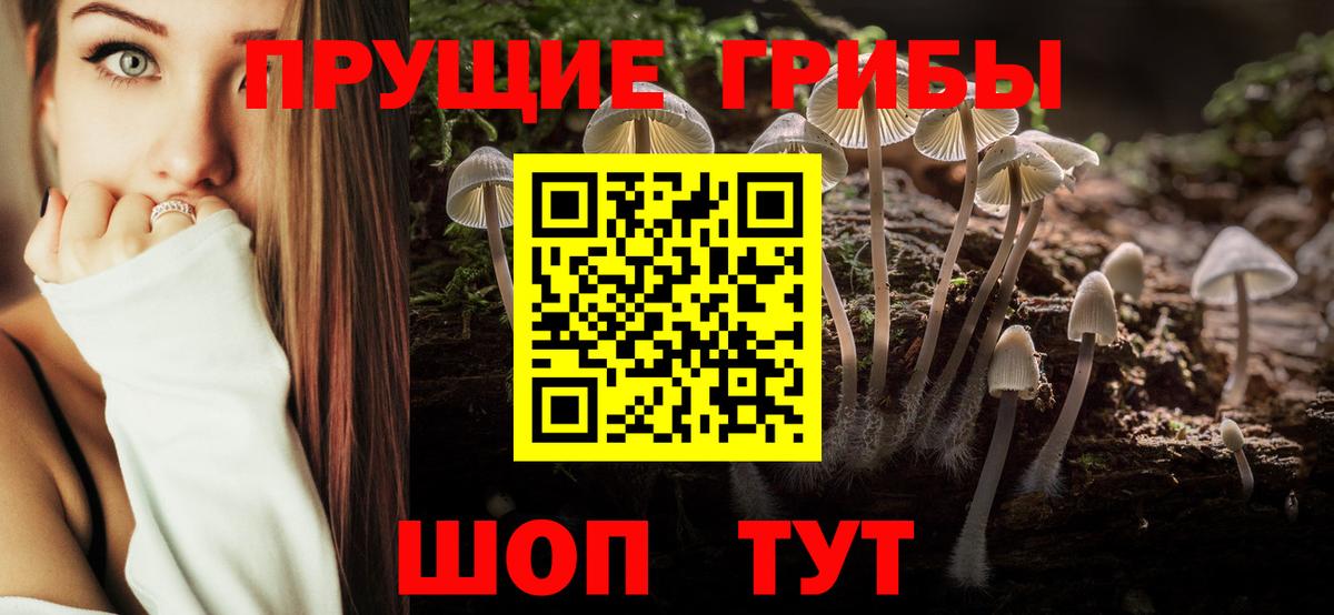 Галлюциногенные грибы мицелий  Вход с VPN  Егорьевск 