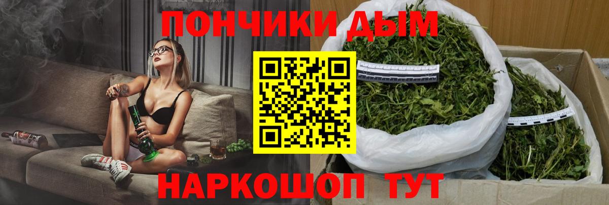 Канабис сатива Егорьевск